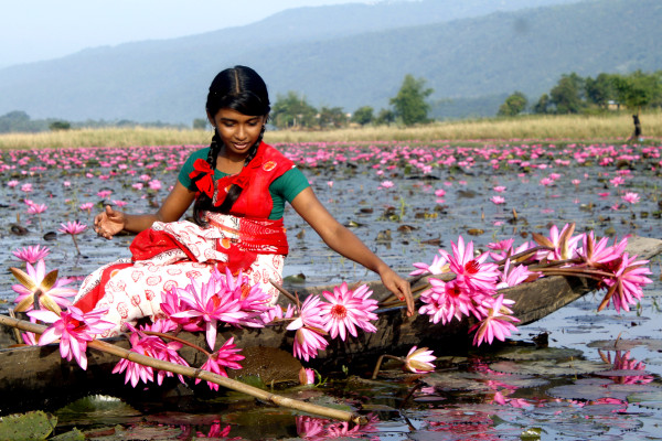 শাপলা বিলের অপরূপ সৌন্দর্যে মুগ্ধ পর্যটক