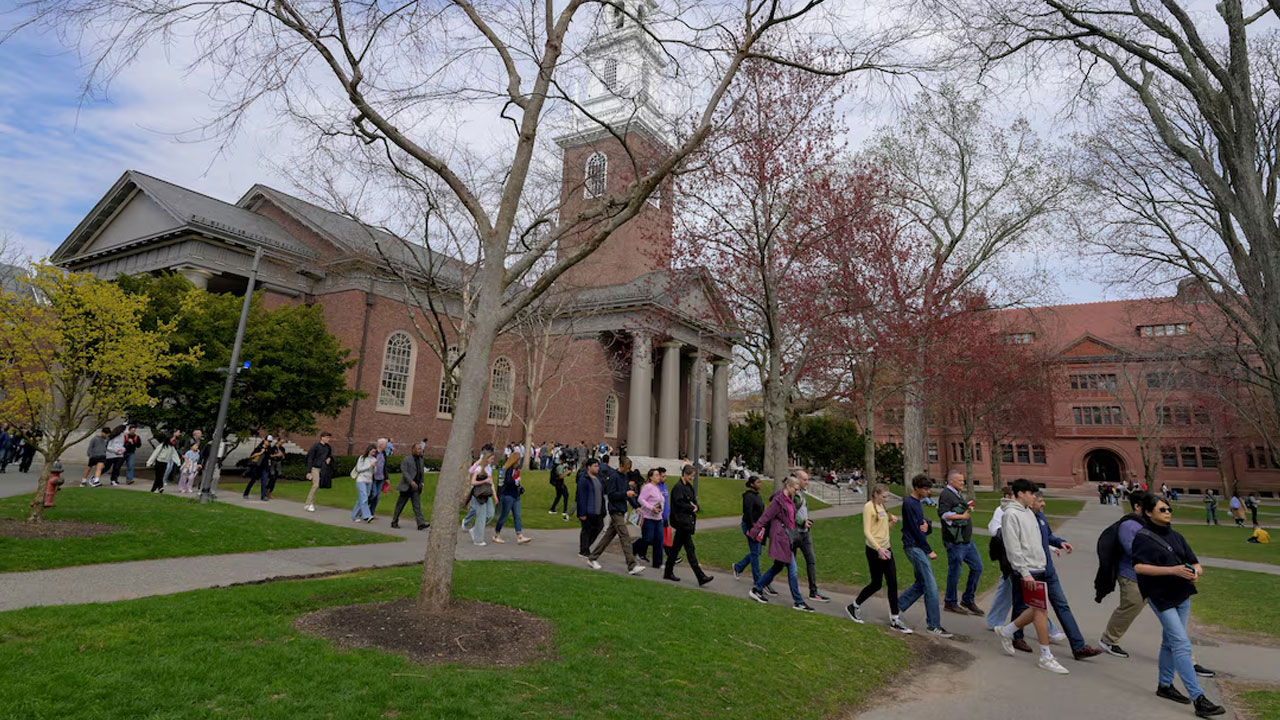harvard-university-20250528125232