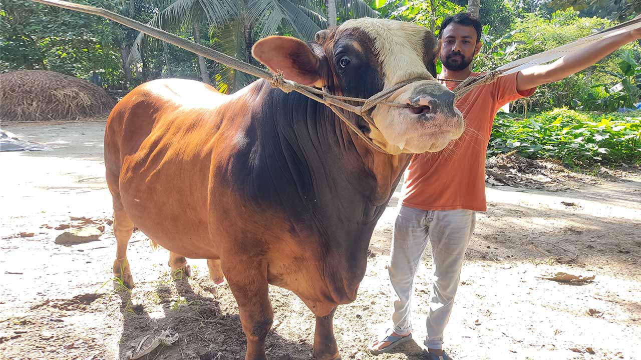 sirajgonj-20250528141934