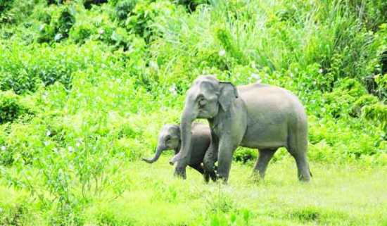 sangbad_bangla_1645549067