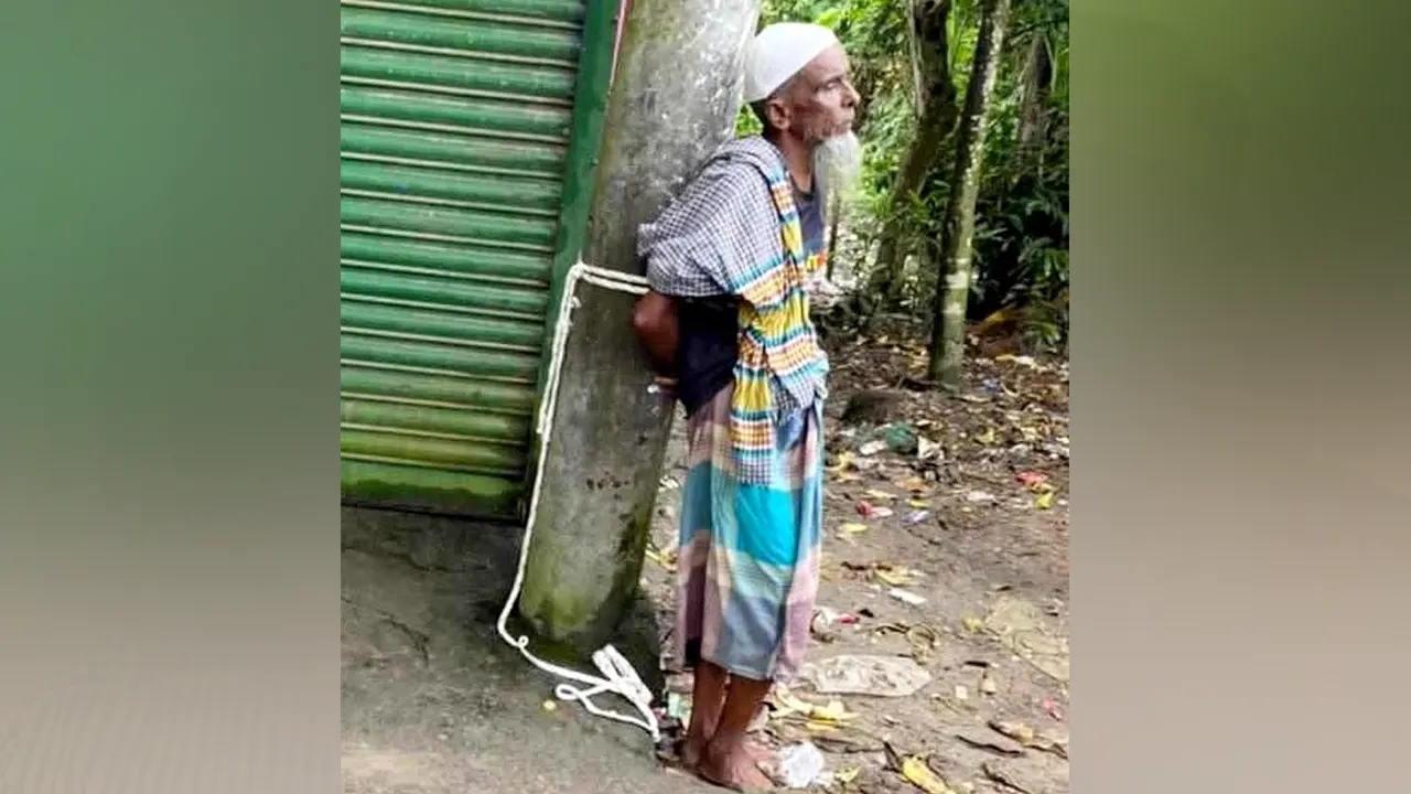 image_229521_1759773860