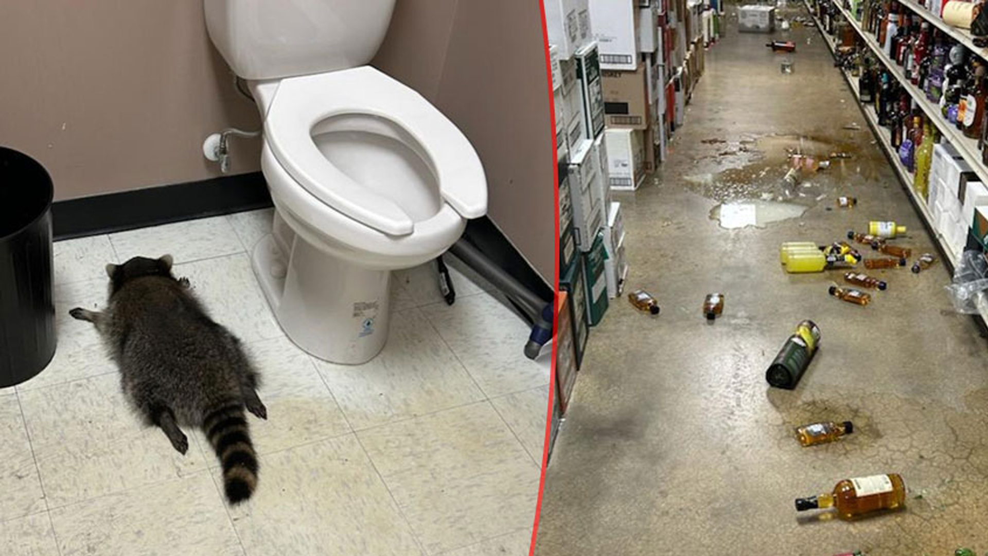 c3279f19d8a412311c6cc504b58acc5285516bd7798bdf61