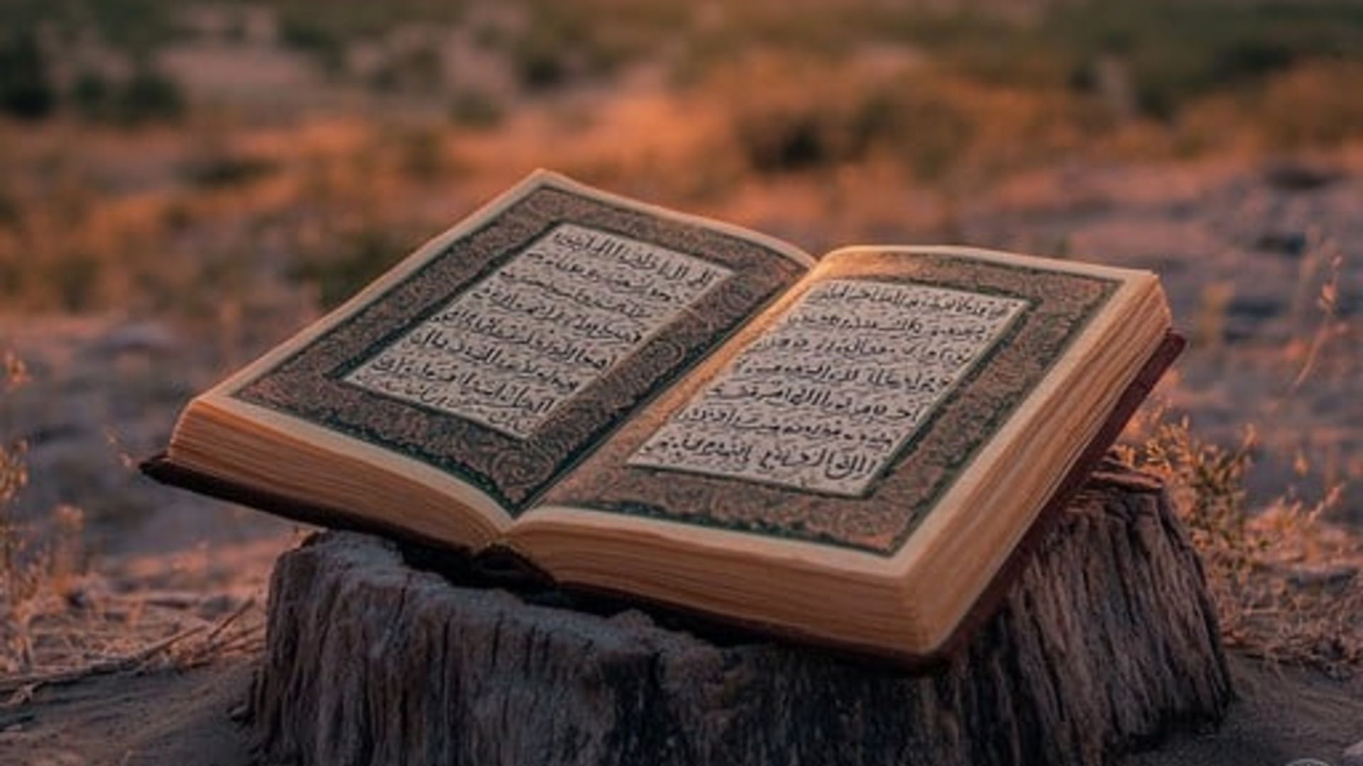 9cf4cbfdac5f6c9108c0eeff940c55dbf75c0b1026e1af3a